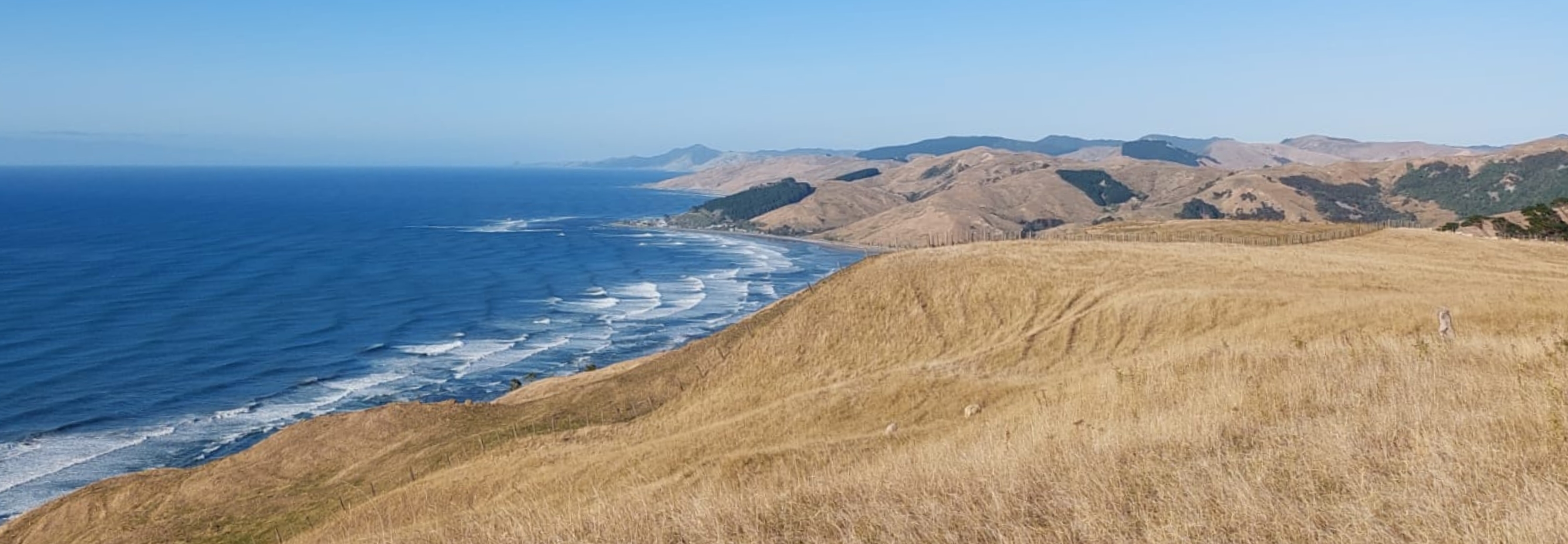 Ākitio coastline, Tararua