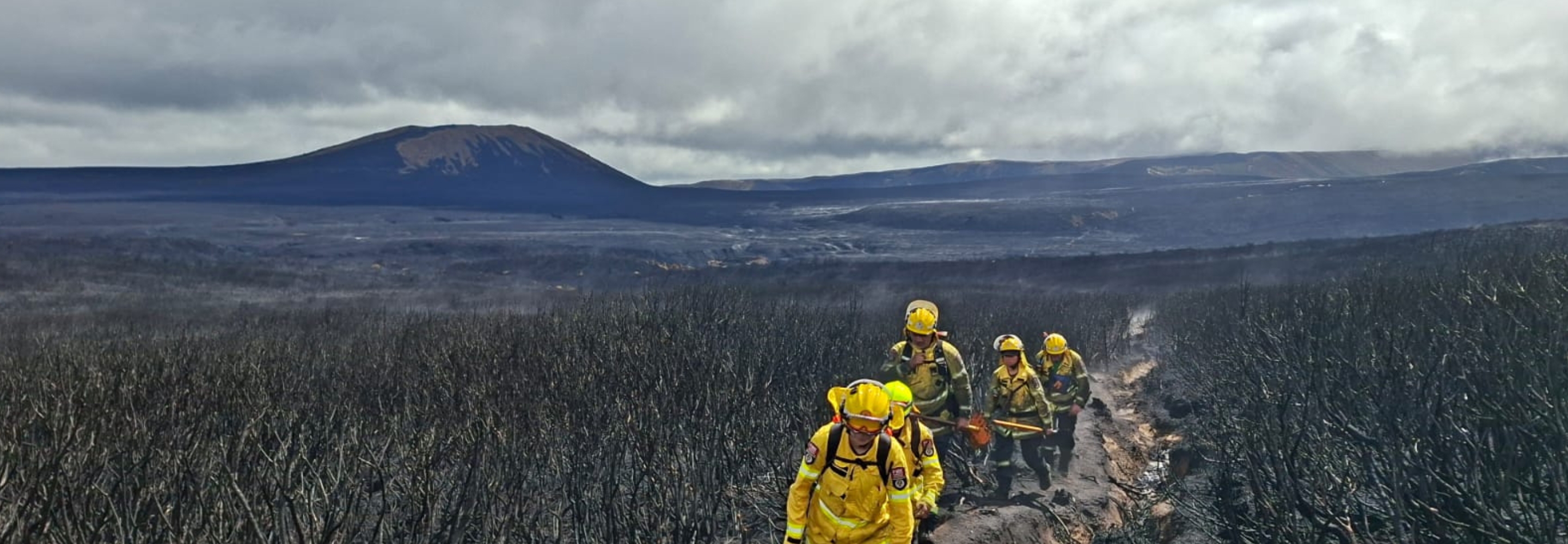 Aftermath of wildfire in Tongariro National Park, Ruapehu (2025)